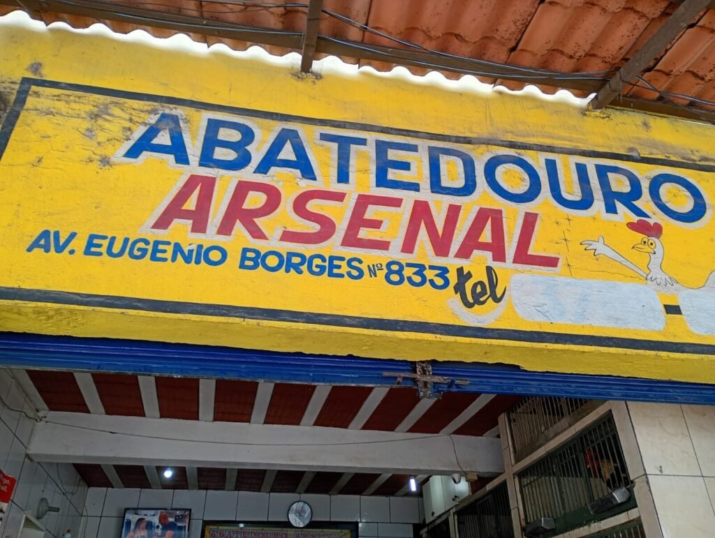 WhatsApp Image 2025-11-18 at 13.42.07